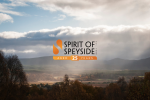 Insights and News Speyside Capital