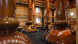 Insights and News Speyside Capital