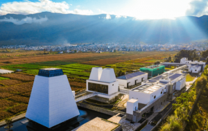 Insights and News Speyside Capital